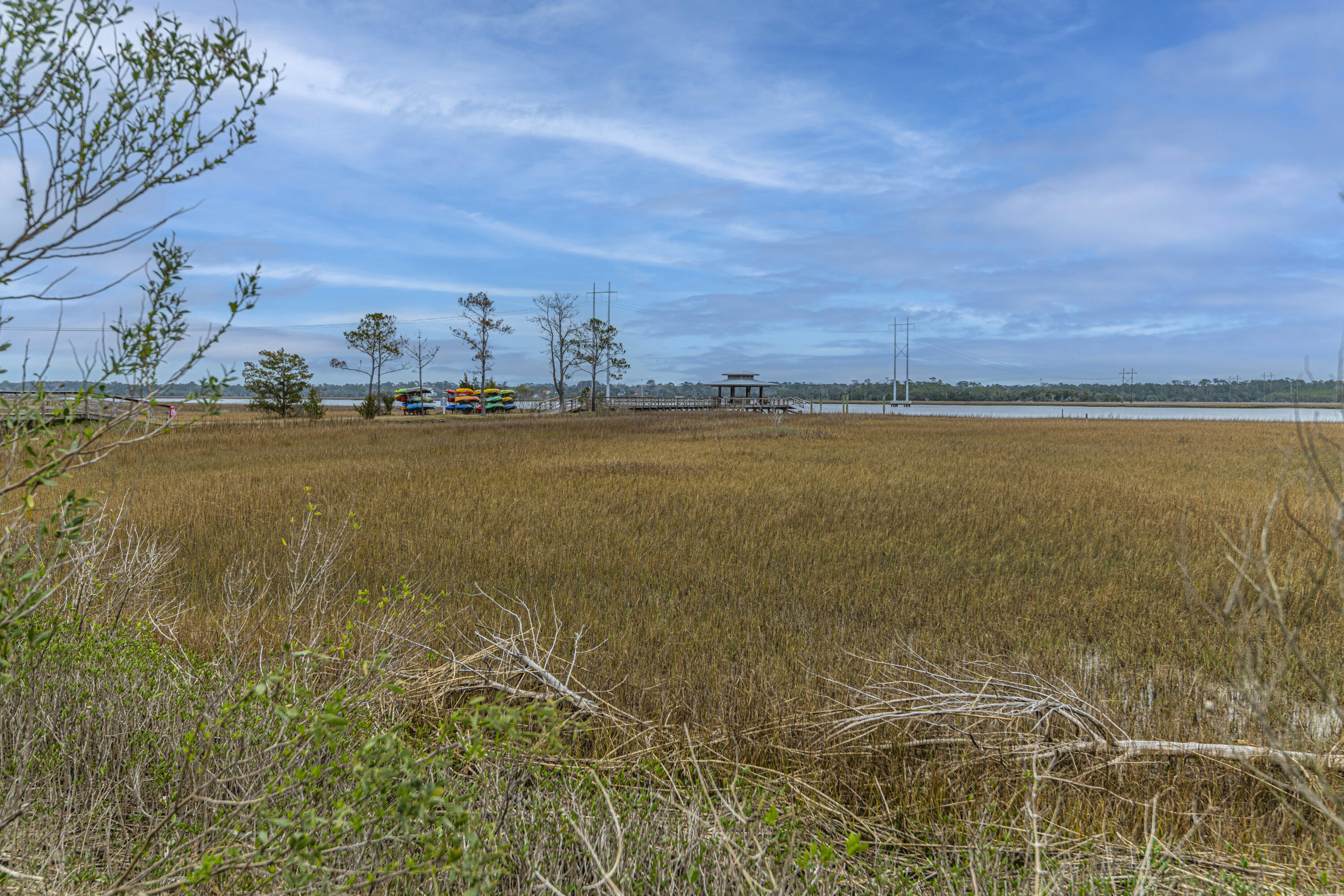 2671 Private Lefler Drive Unit: Private Lefler Dr Johns Island