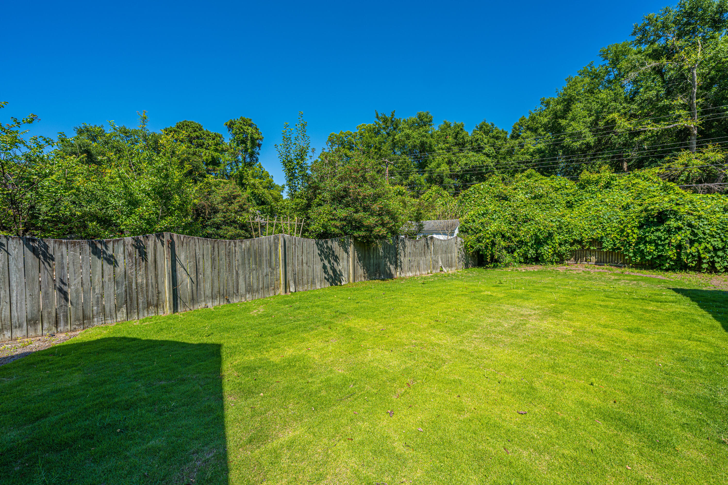 1423 Swamp Fox Lane