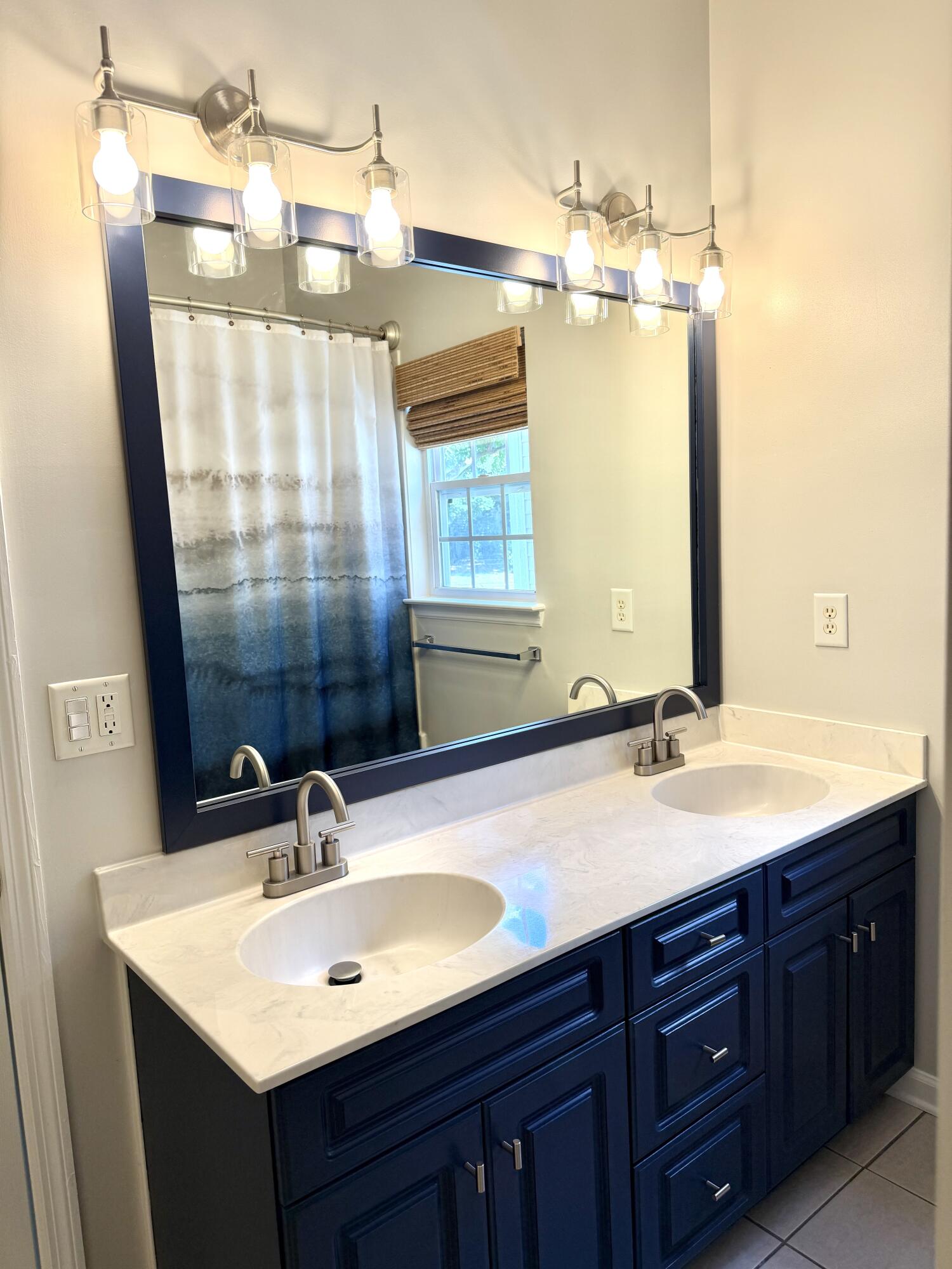 1423 Swamp Fox Lane