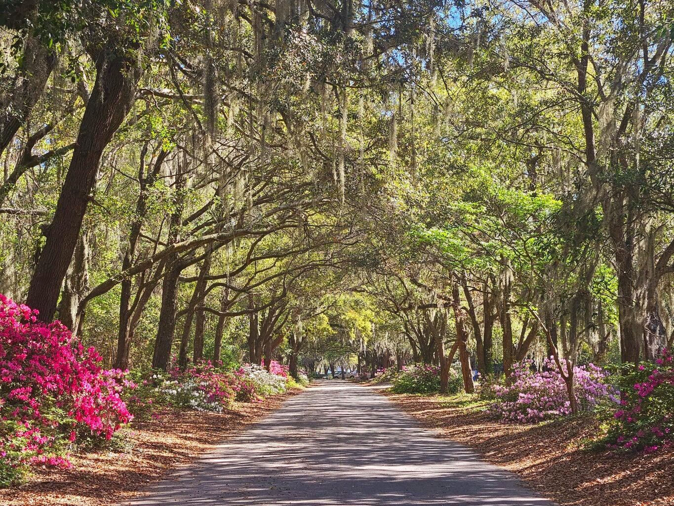 562 Fort Johnson Road