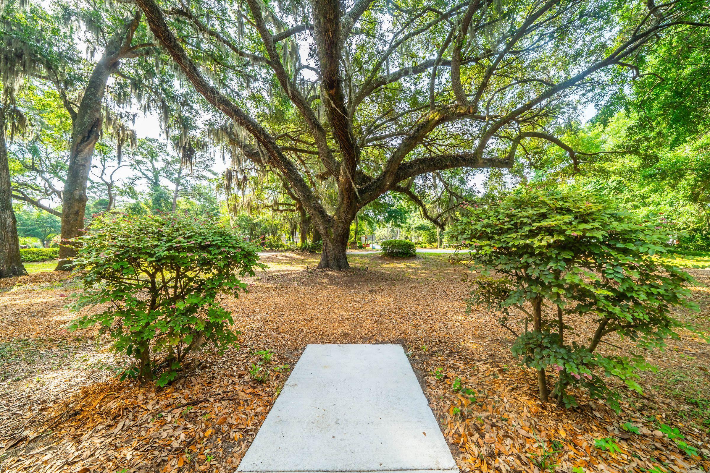 562 Fort Johnson Road