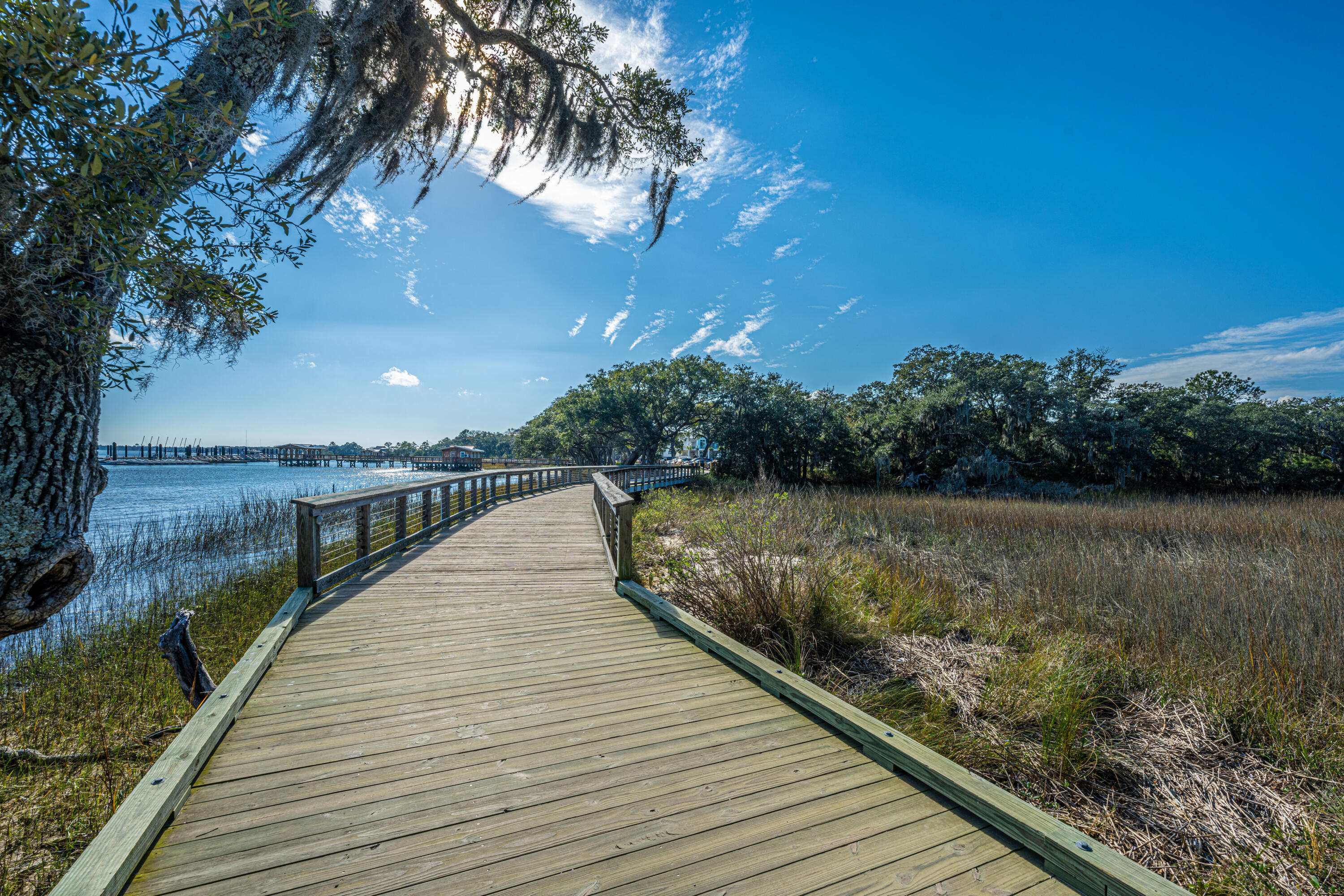 130 River Landing Drive Unit 3113