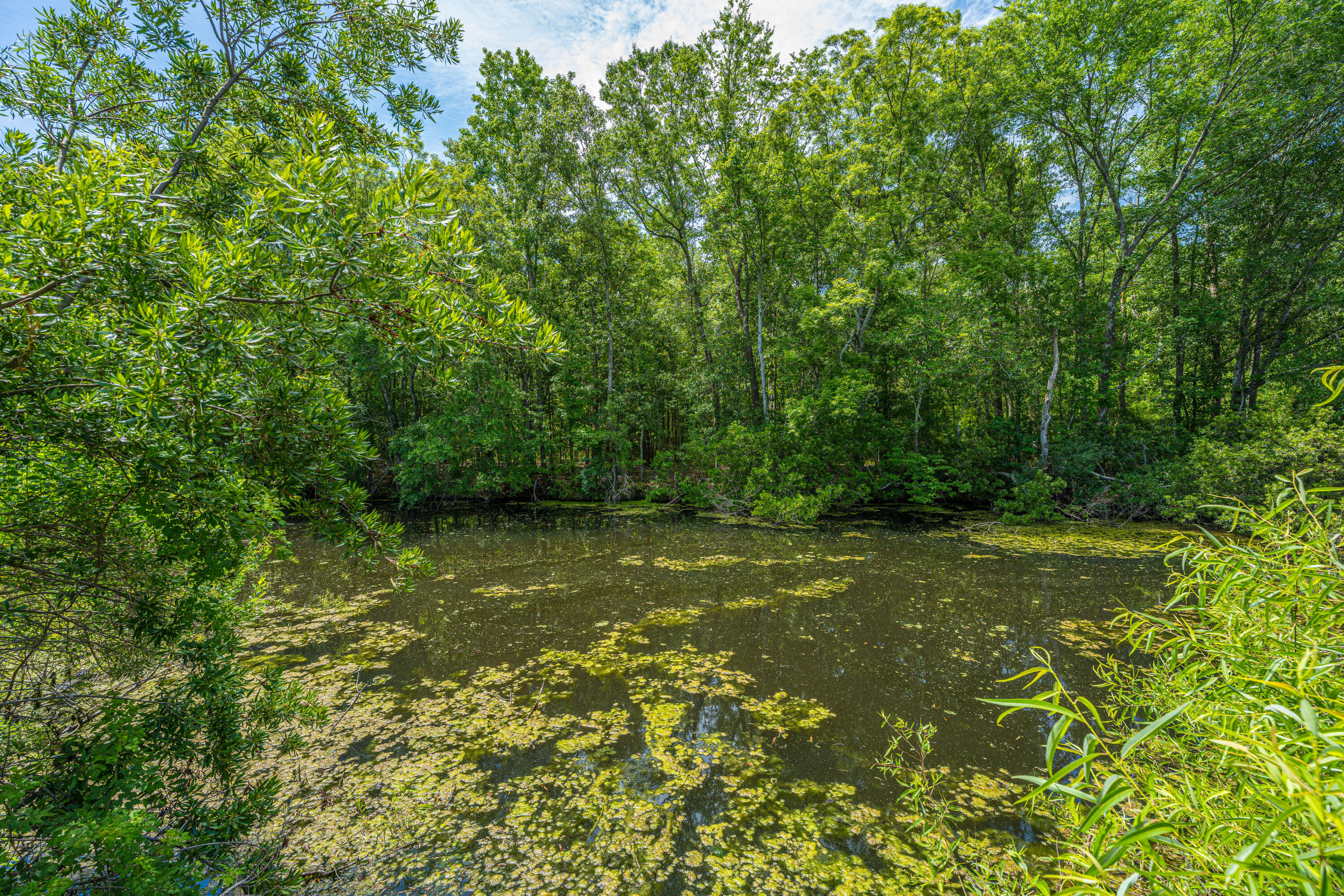 1029 Oakcrest Drive