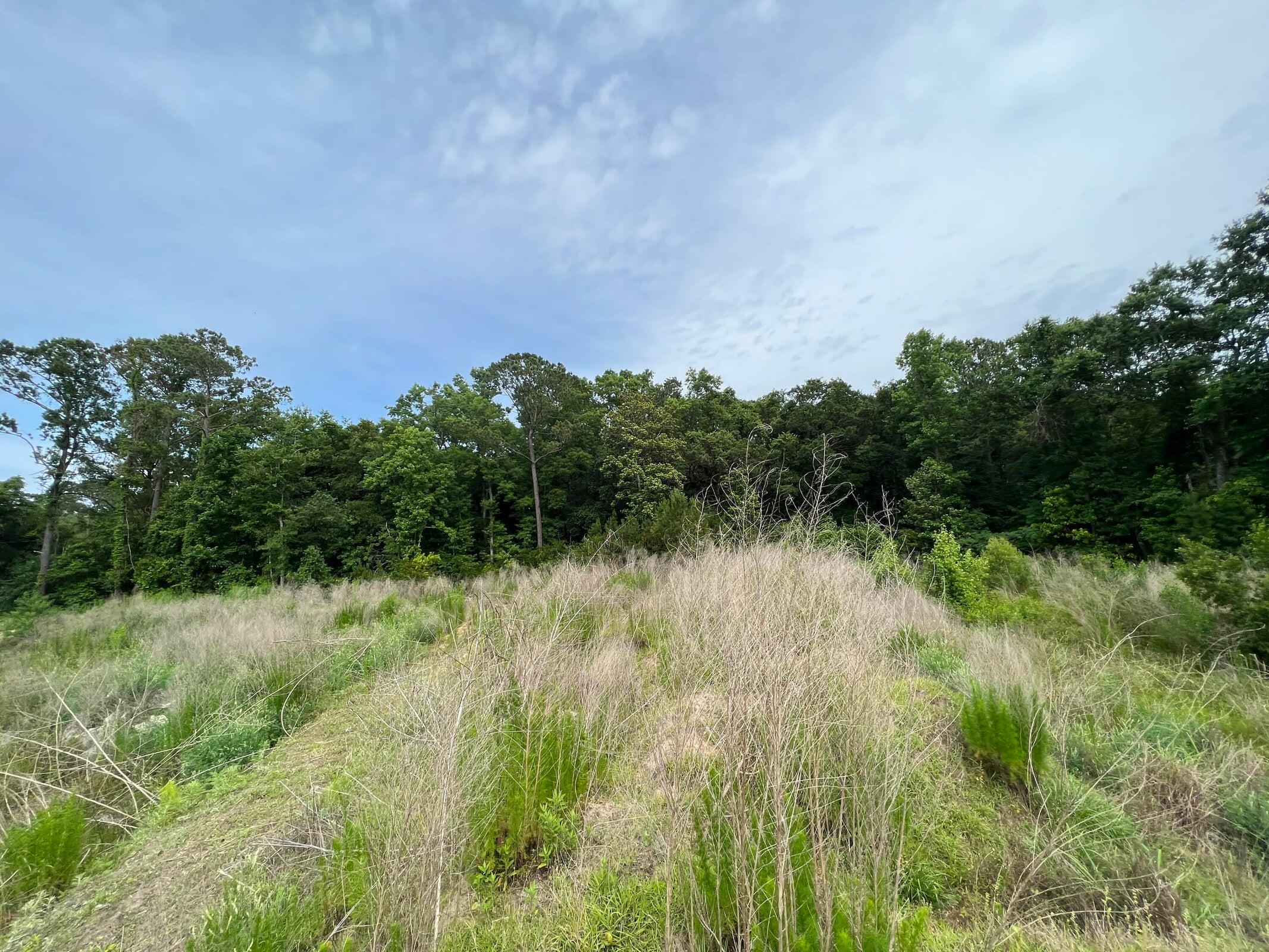 2017 Paul Chavis Lane Charleseton Lane
