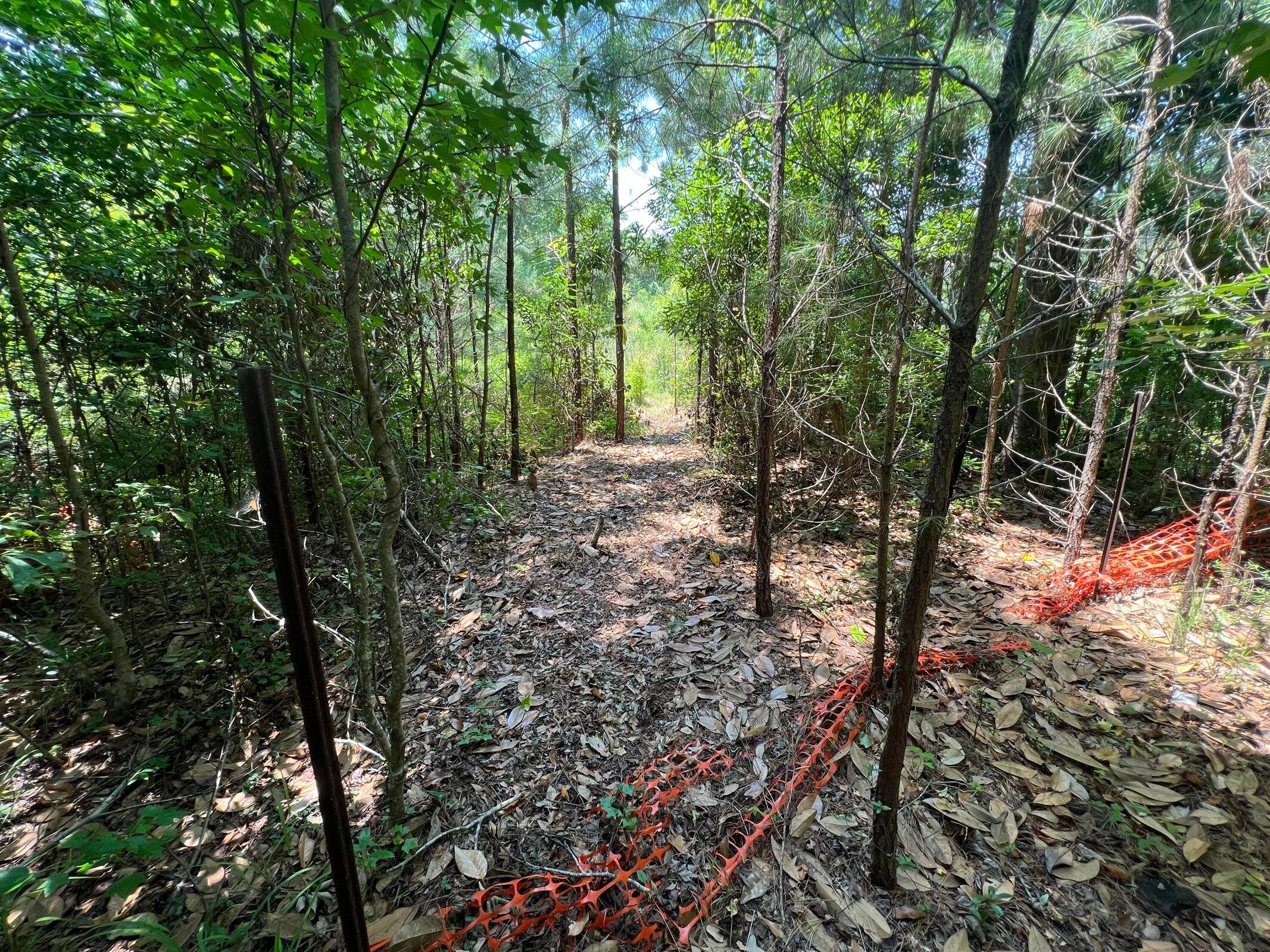 2017 Paul Chavis Lane Charleseton Lane