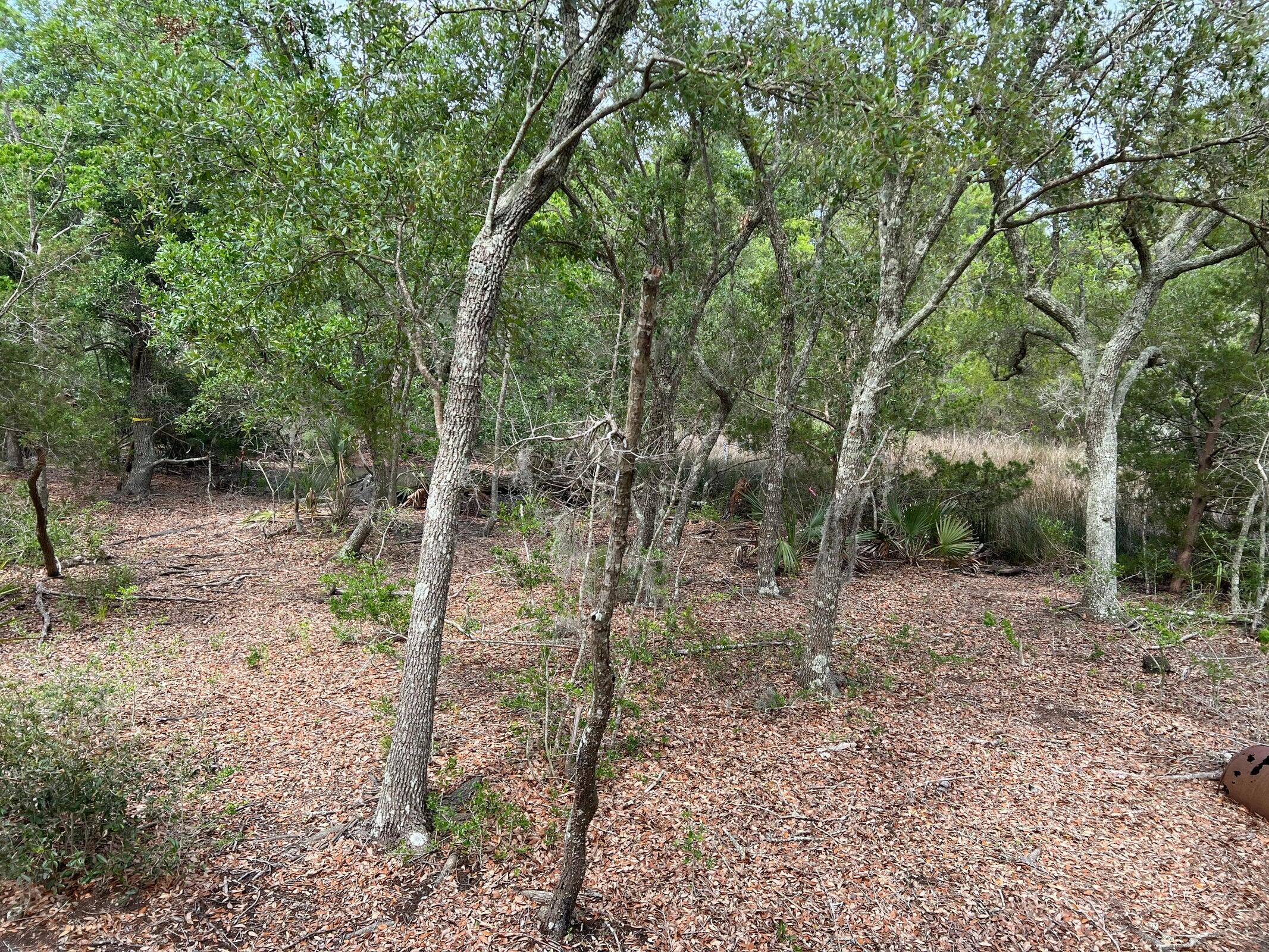 2017 Paul Chavis Lane Charleseton Lane