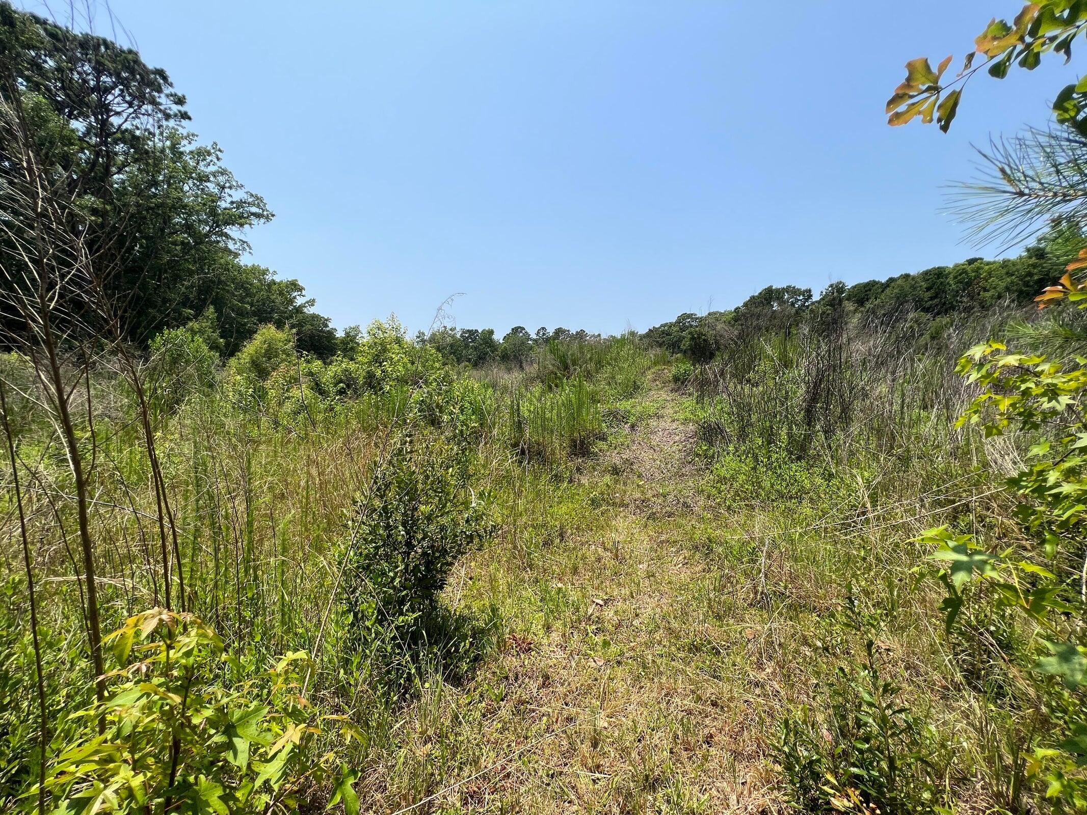 2017 Paul Chavis Lane Charleseton Lane
