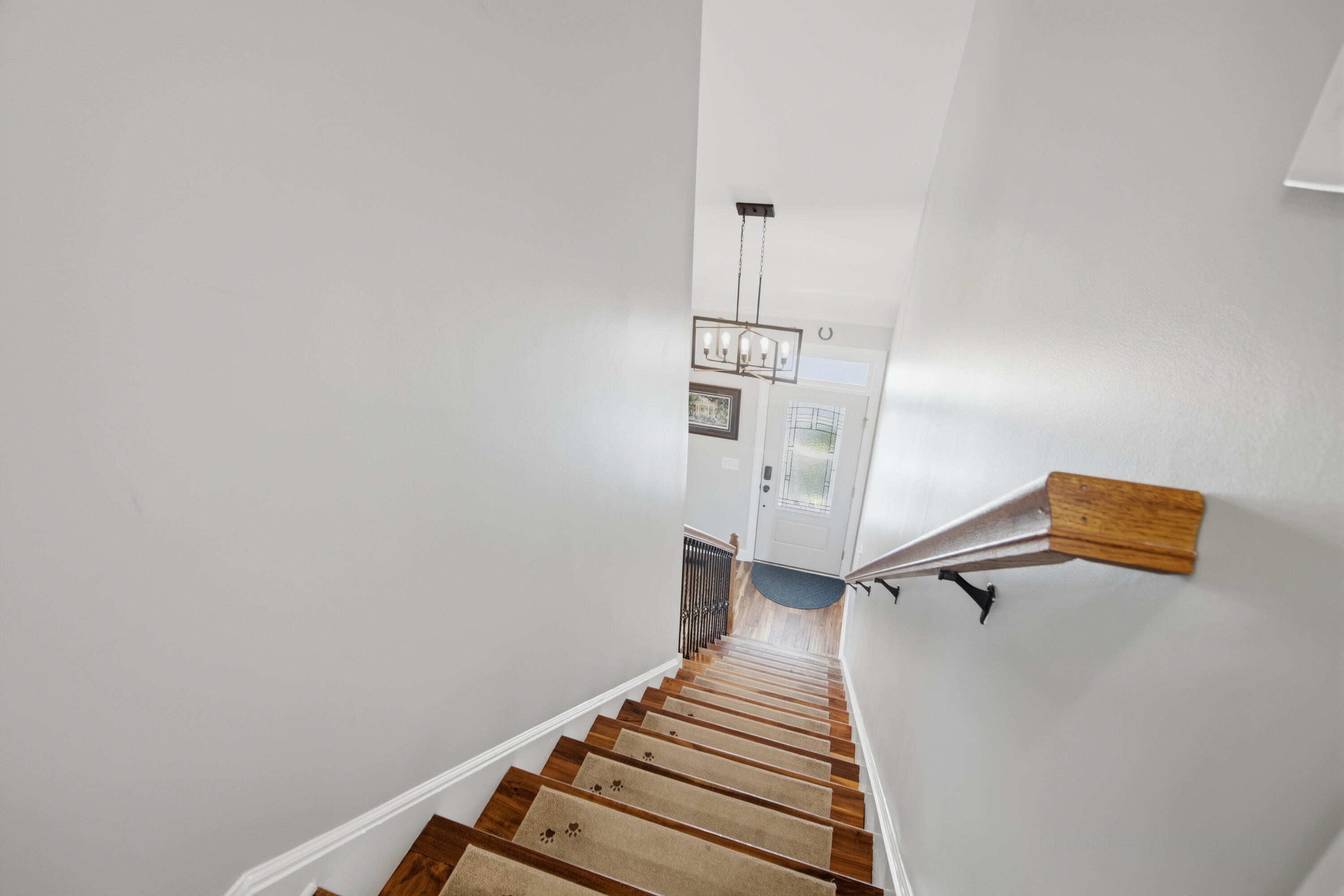 1463 Harborsun Drive