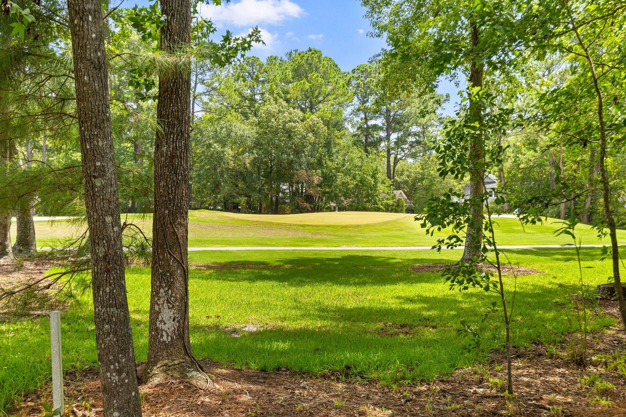 1134 Greenview Lane