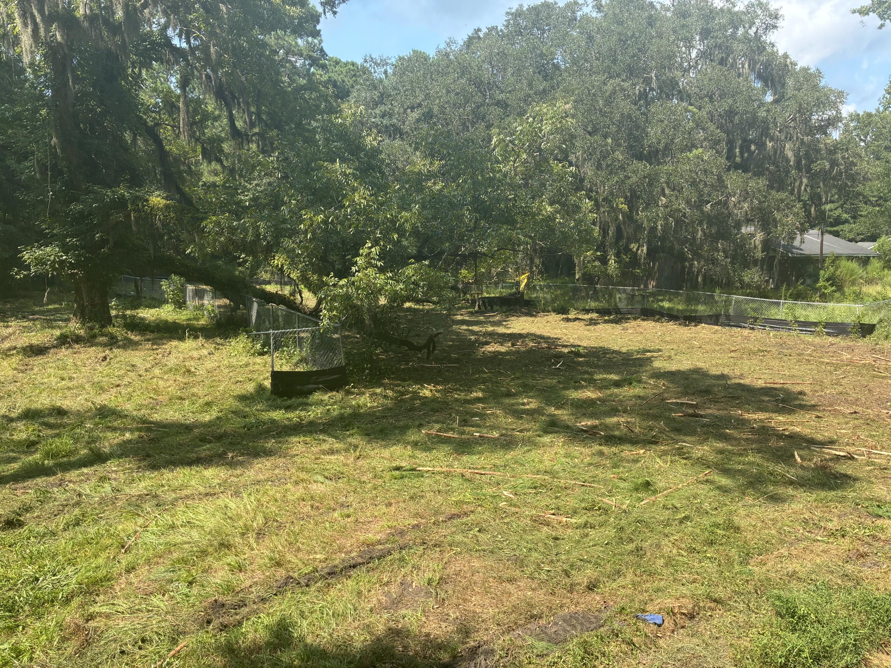 336 Drayton Street, McClellanville