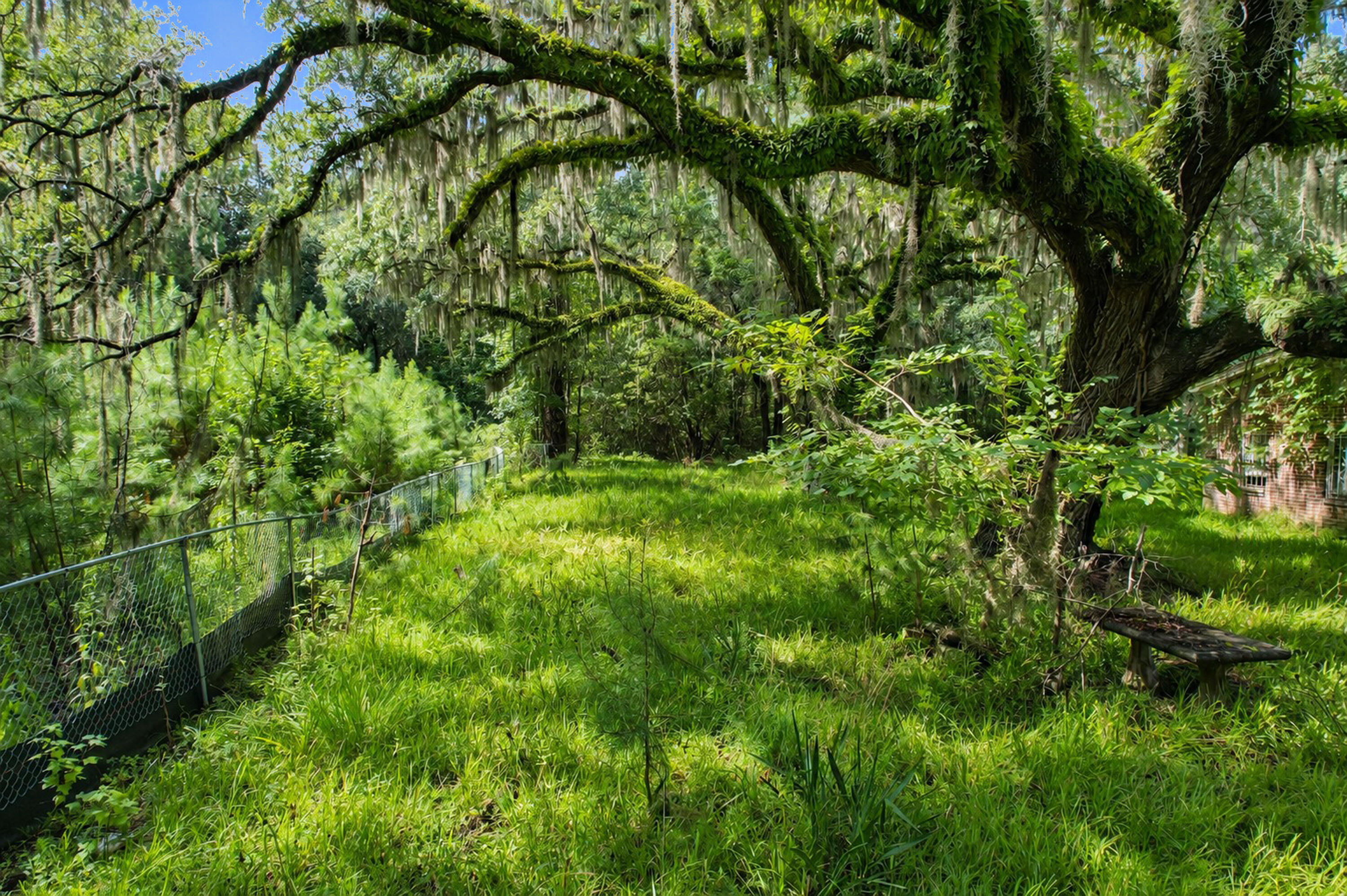 336 Drayton Street, McClellanville