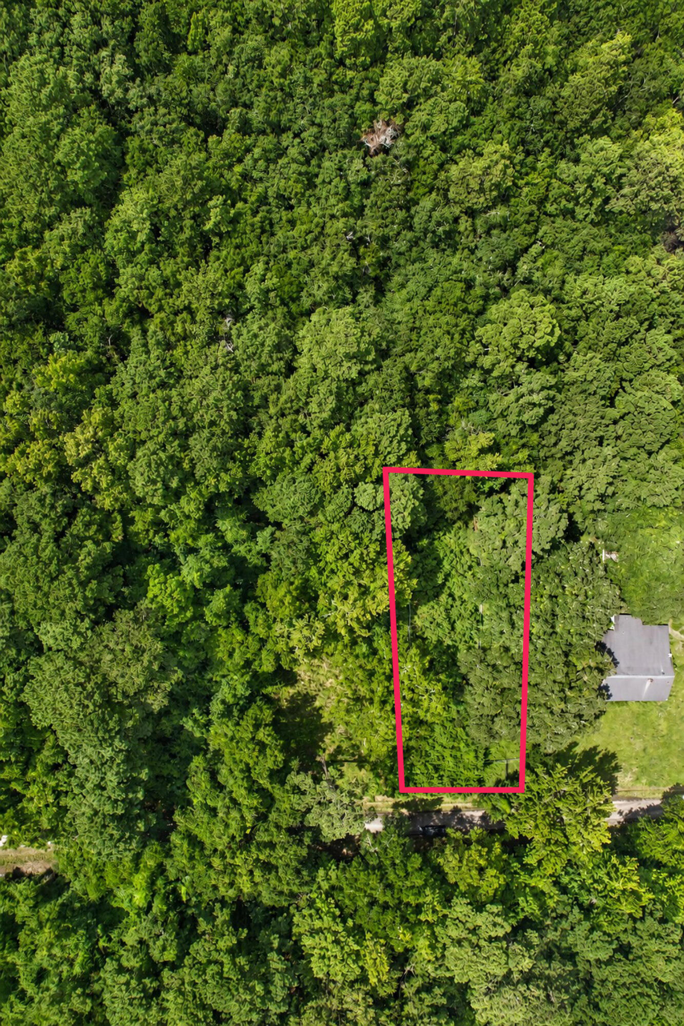 336 Drayton Street, McClellanville