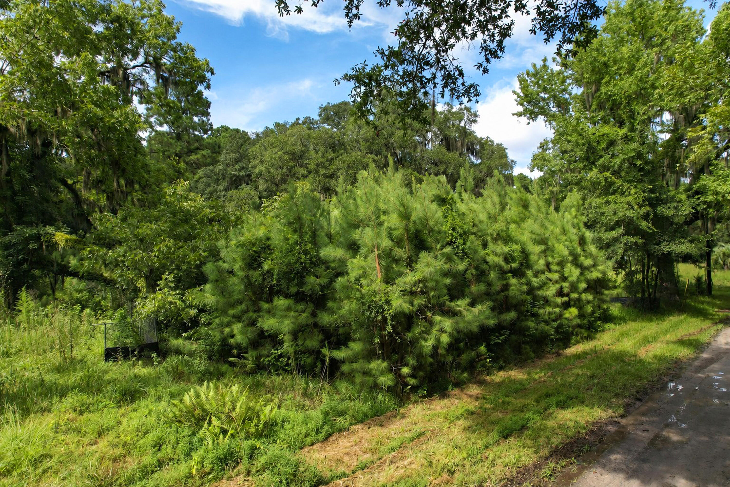 336 Drayton Street, McClellanville