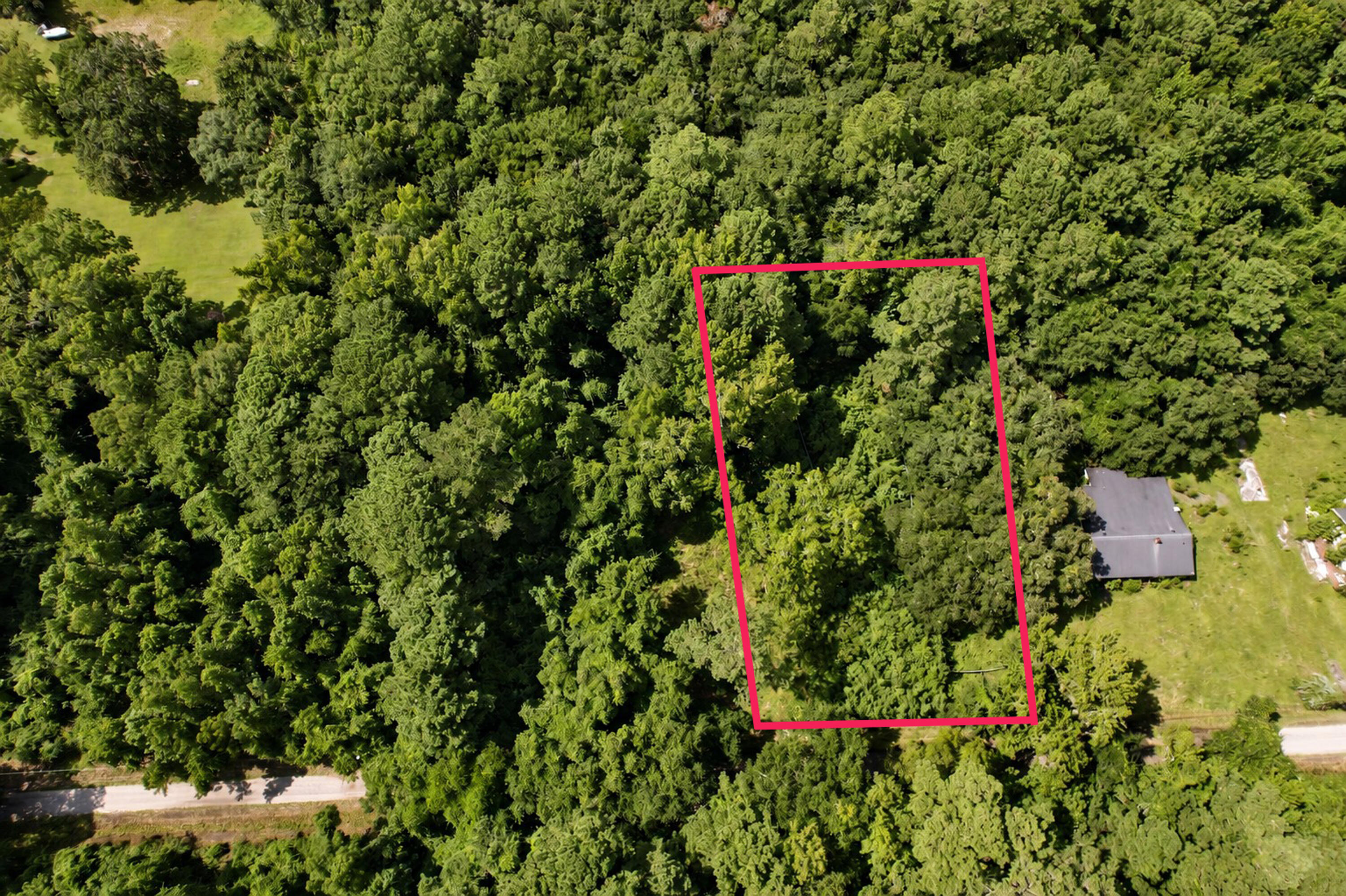 336 Drayton Street, McClellanville