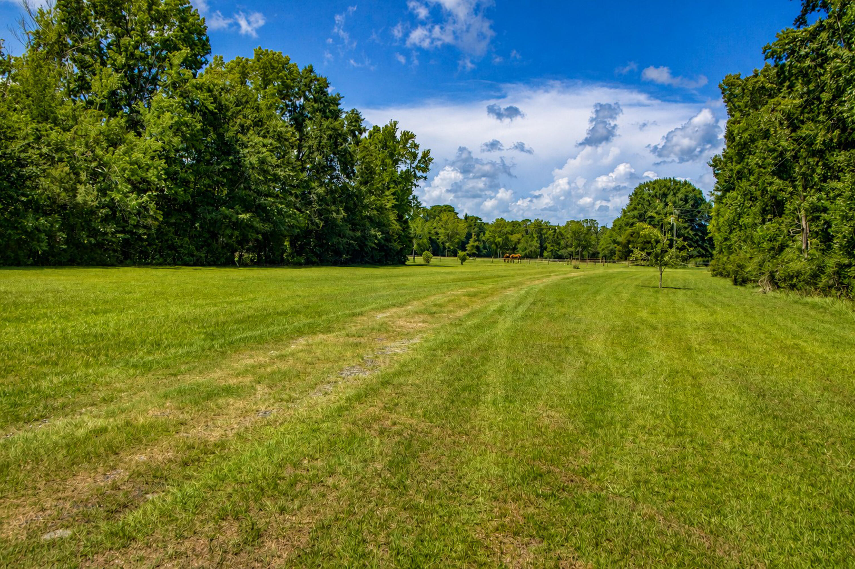 2039 Bentz Road