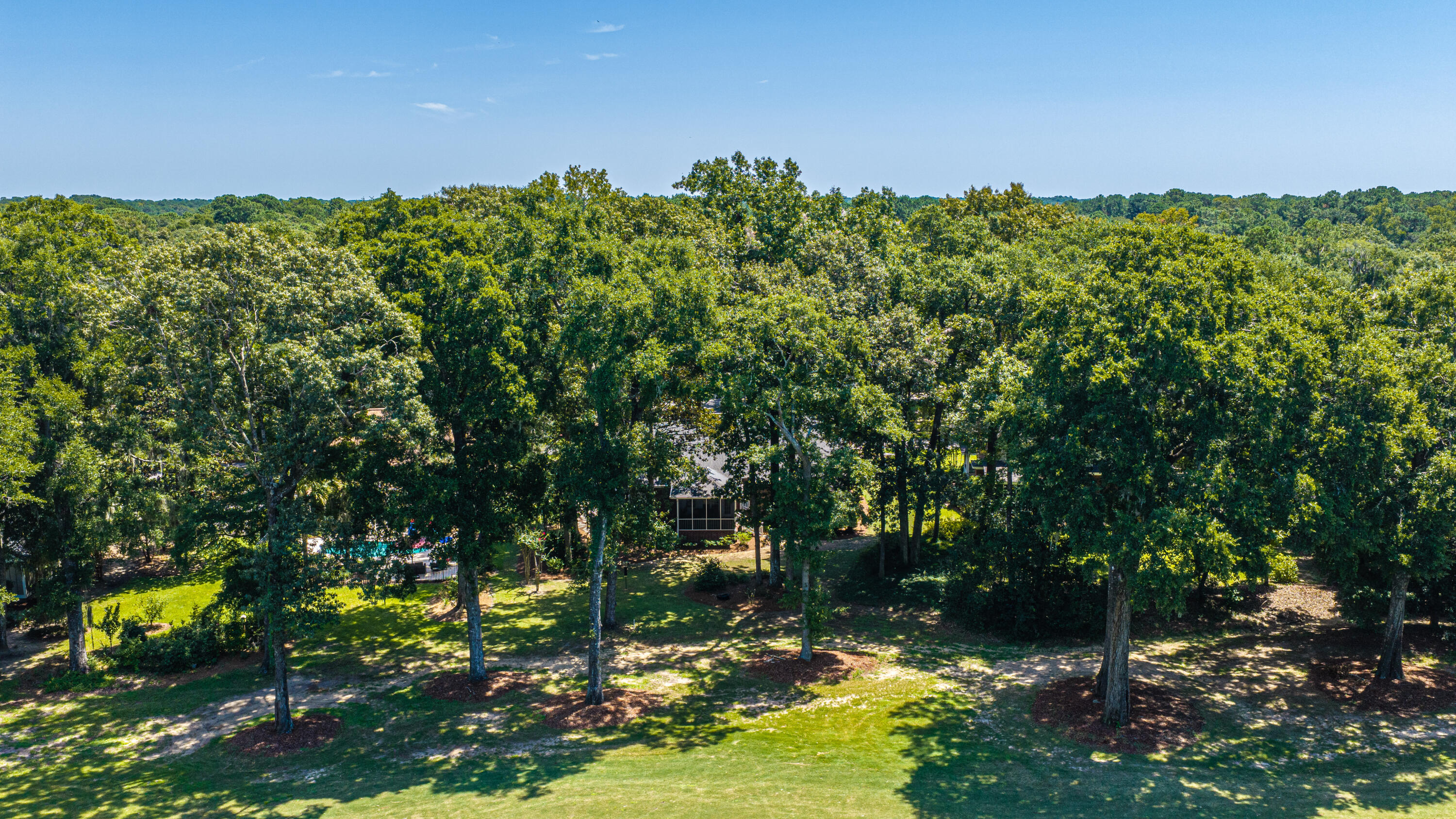 5201 Forest Oaks Drive