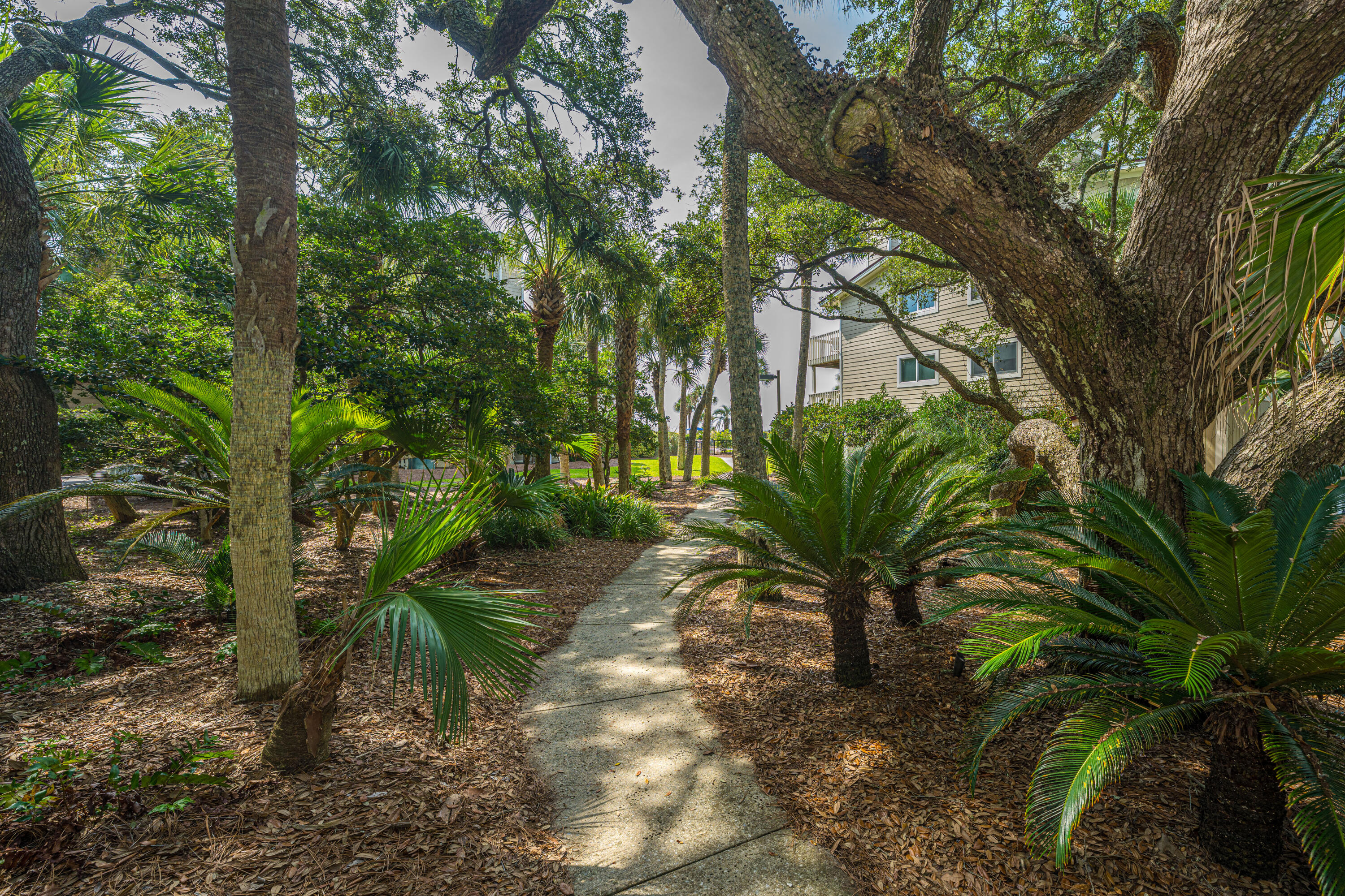 6 Seagrove Lane # D