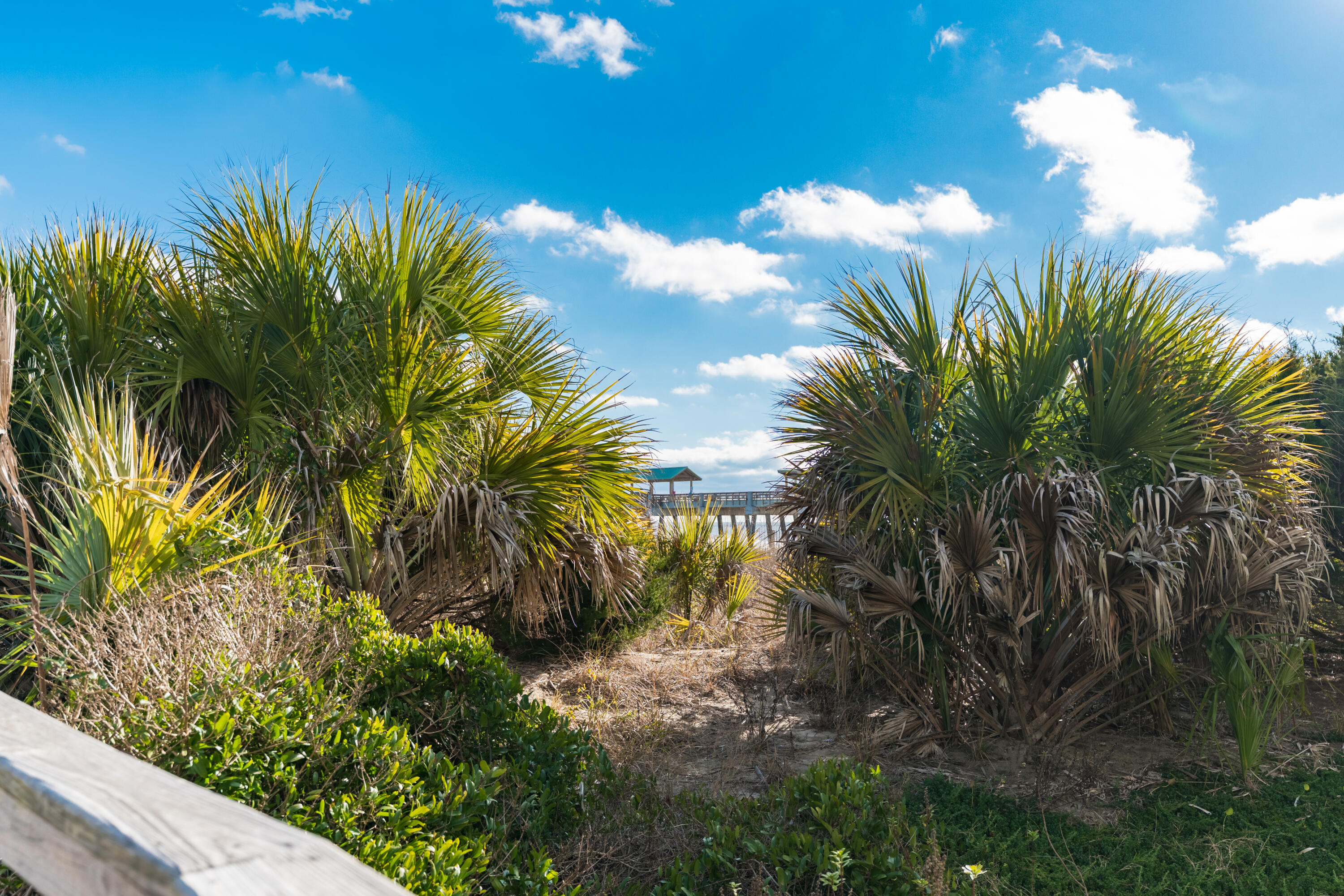 115 E Arctic Avenue # 1b