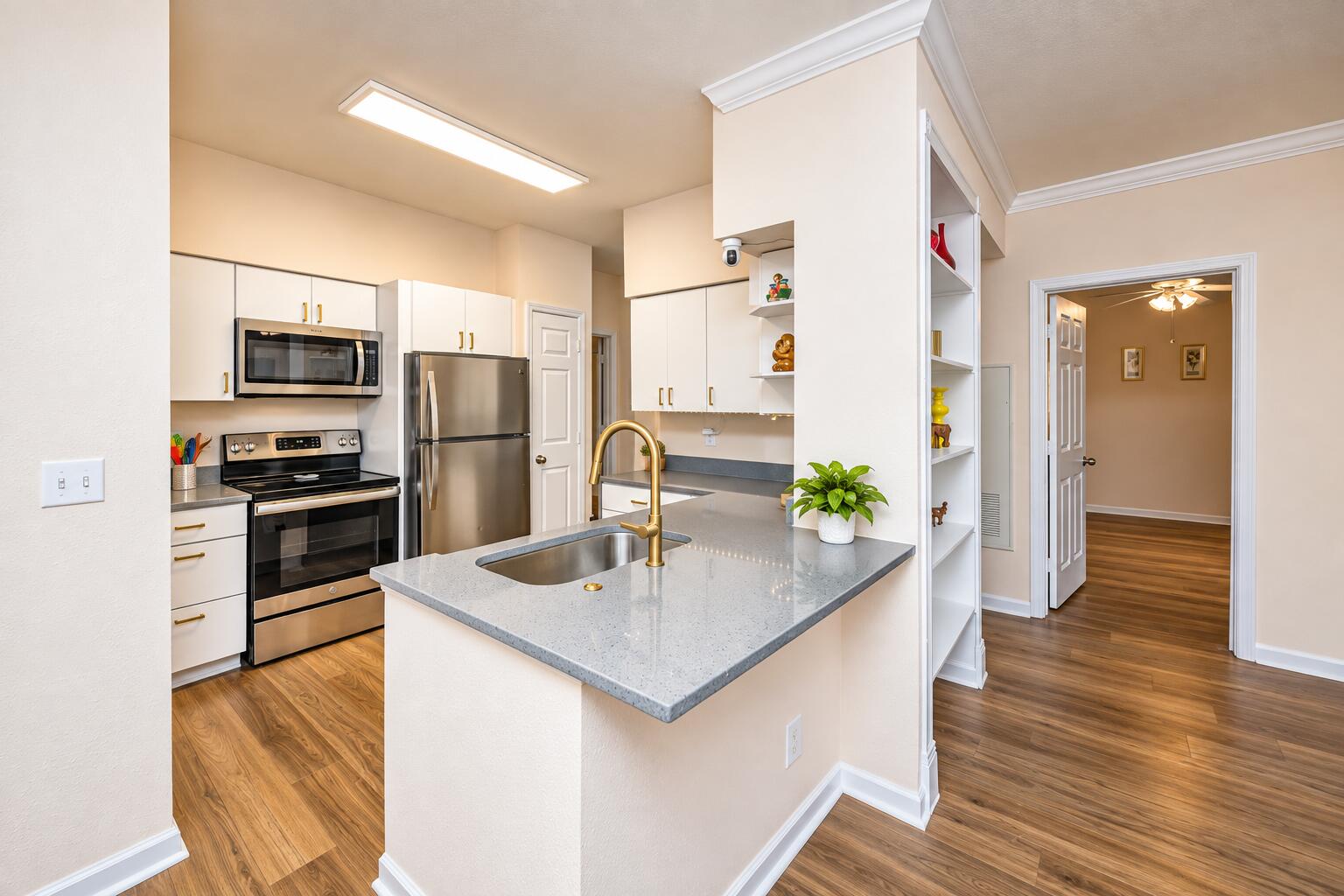 700 Daniel Ellis Drive # 10101