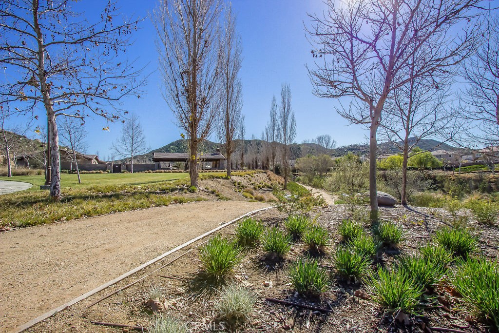 32371 Whispering Willow Drive