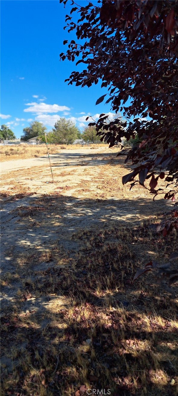 0 vacant land