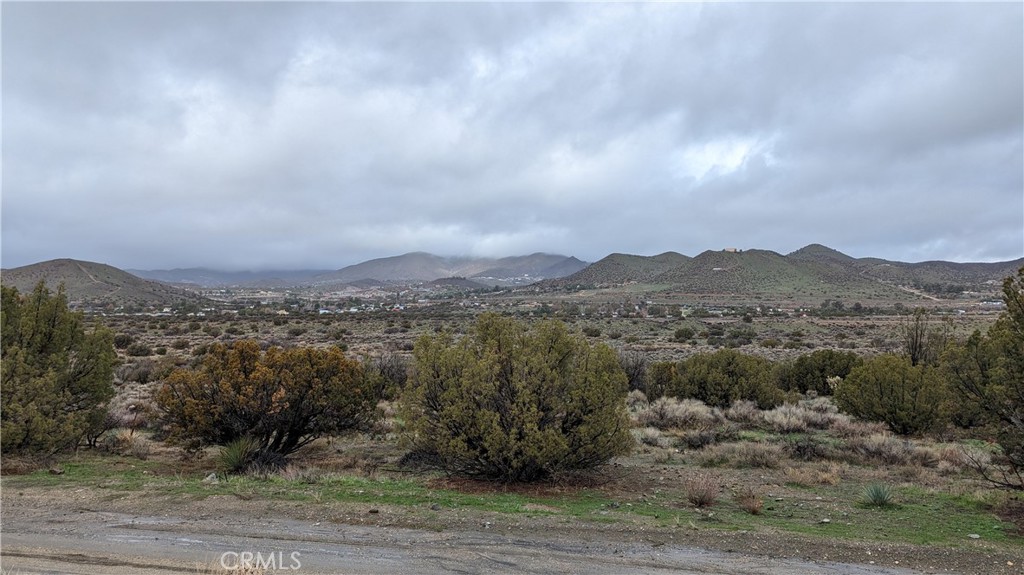 0 Searchlight Ranch Road