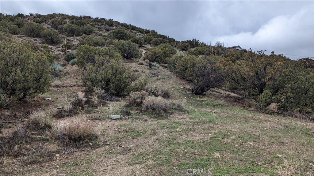 0 Searchlight Ranch Road