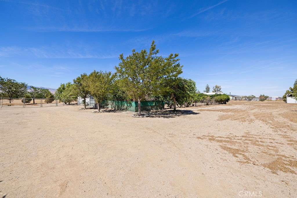 25636 W Avenue B8