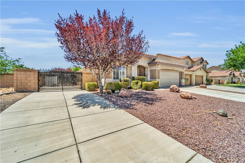 43627 Rialto Drive