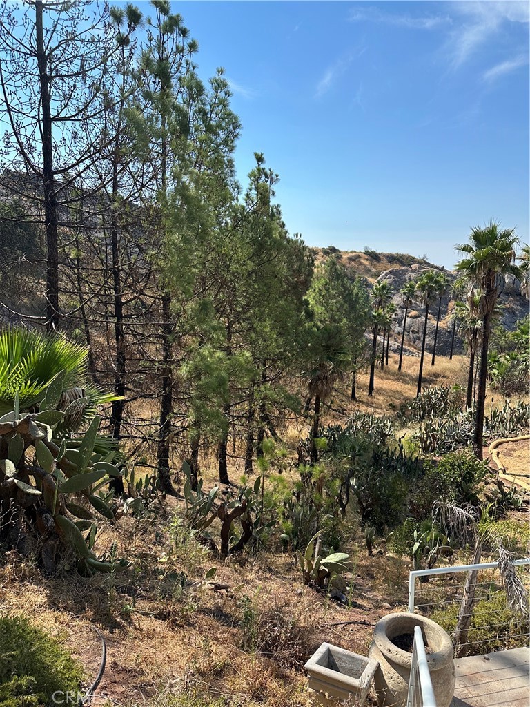 24764 W Saddle Peak Road
