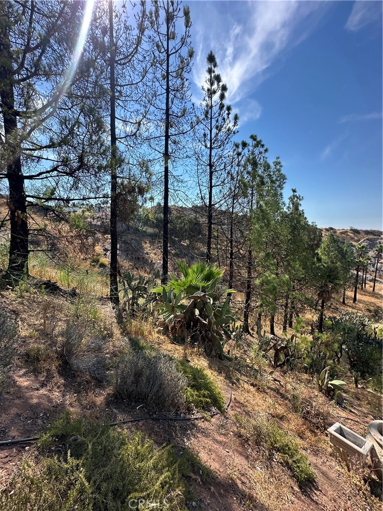 24764 W Saddle Peak Road