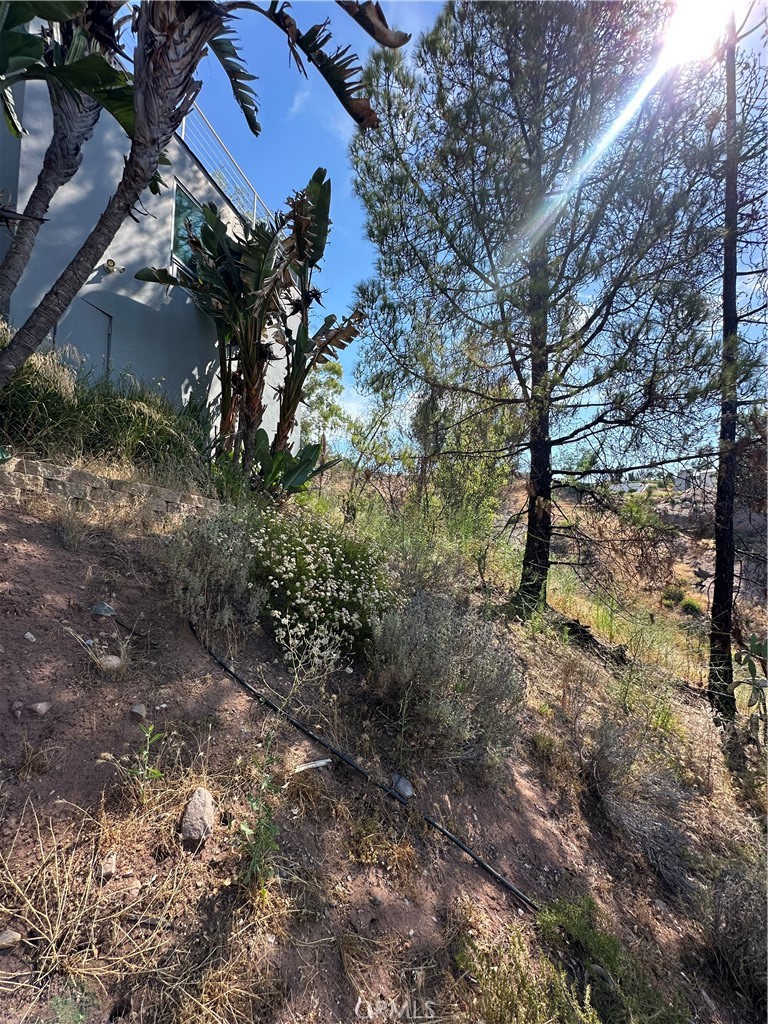 24764 W Saddle Peak Road