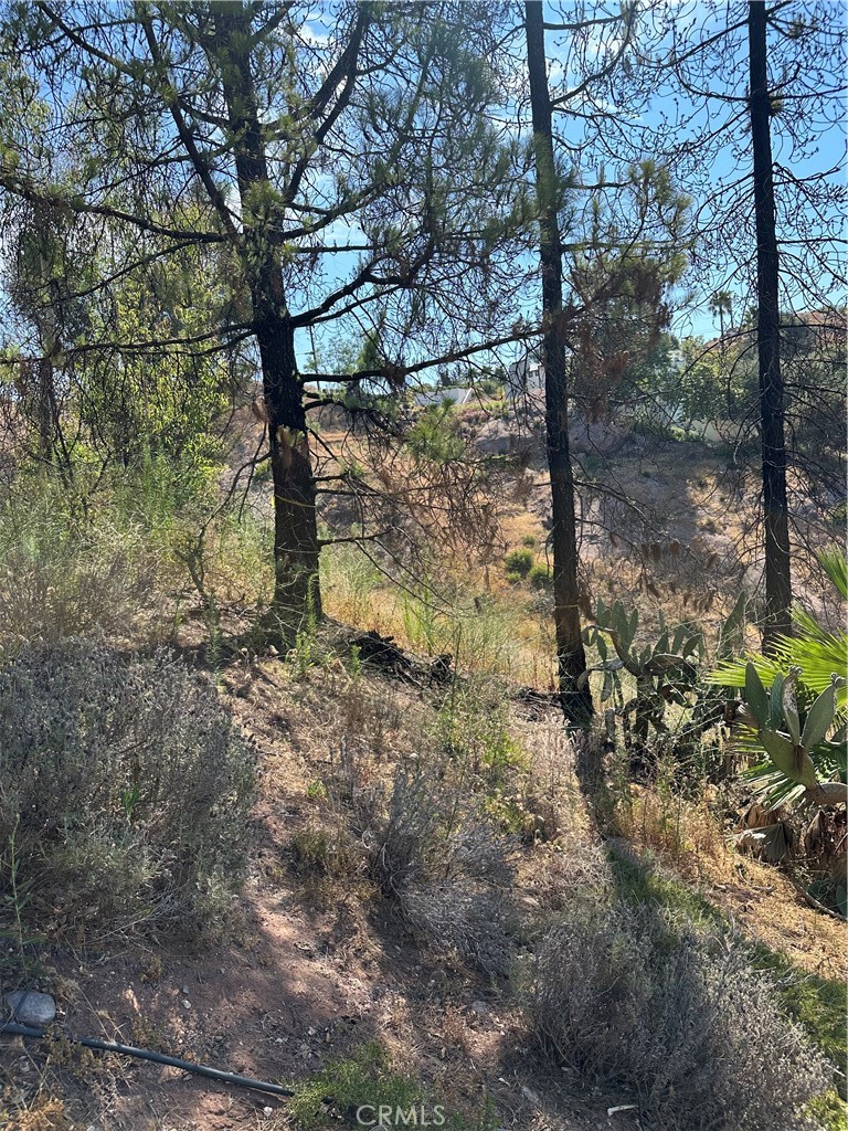 24764 W Saddle Peak Road