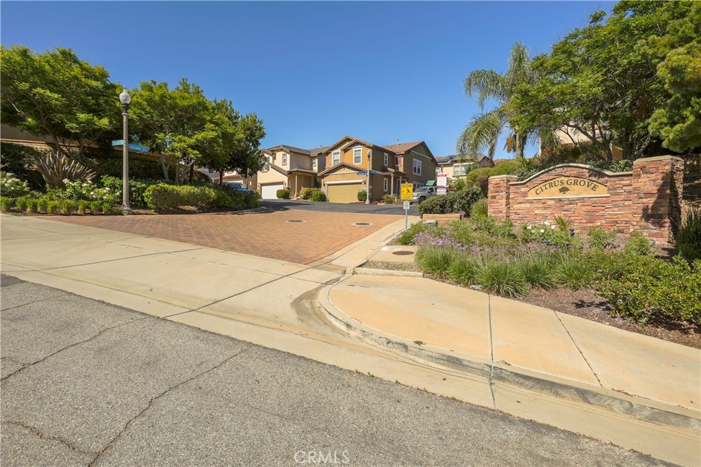 28215 Clementine Drive