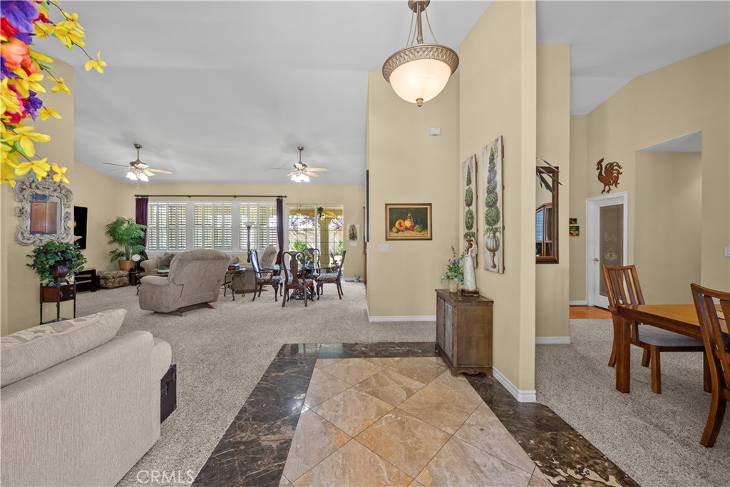 239 Hawk Lane