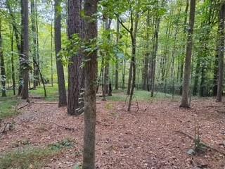 0 Old Southwick Pass