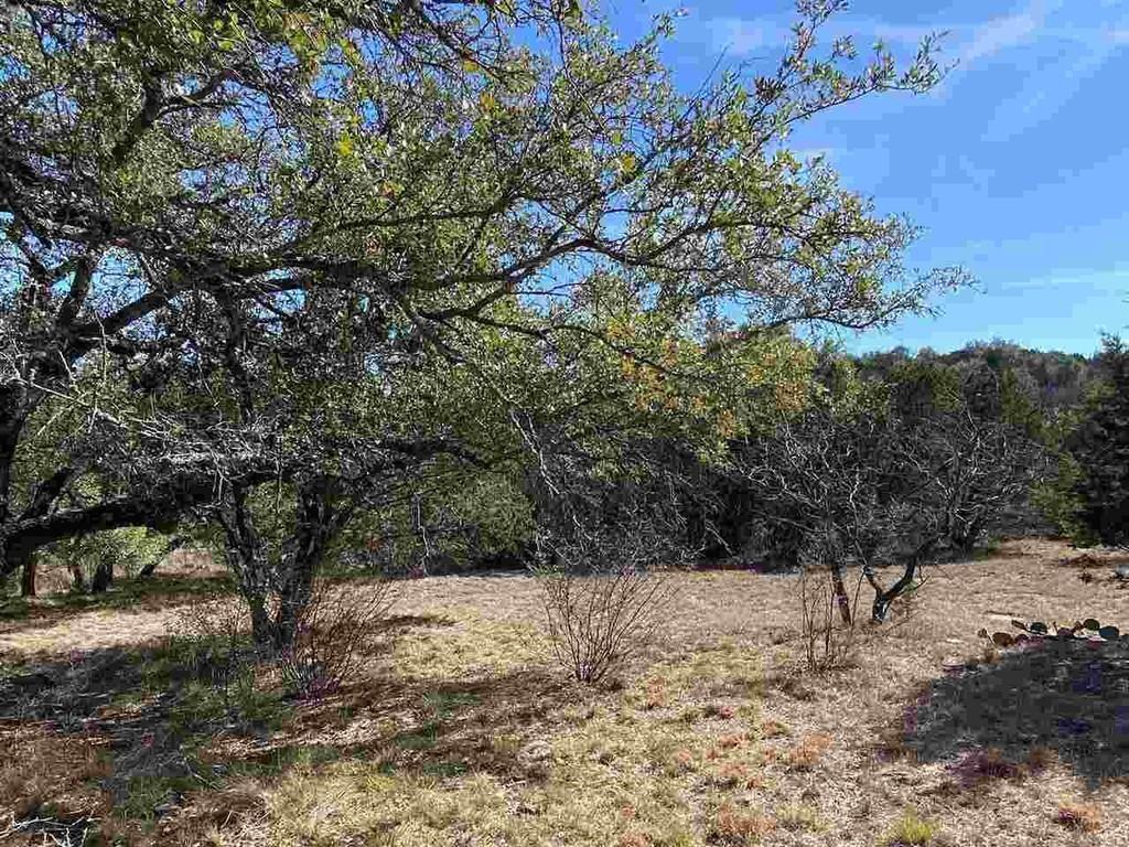 K13105 Buntline Special