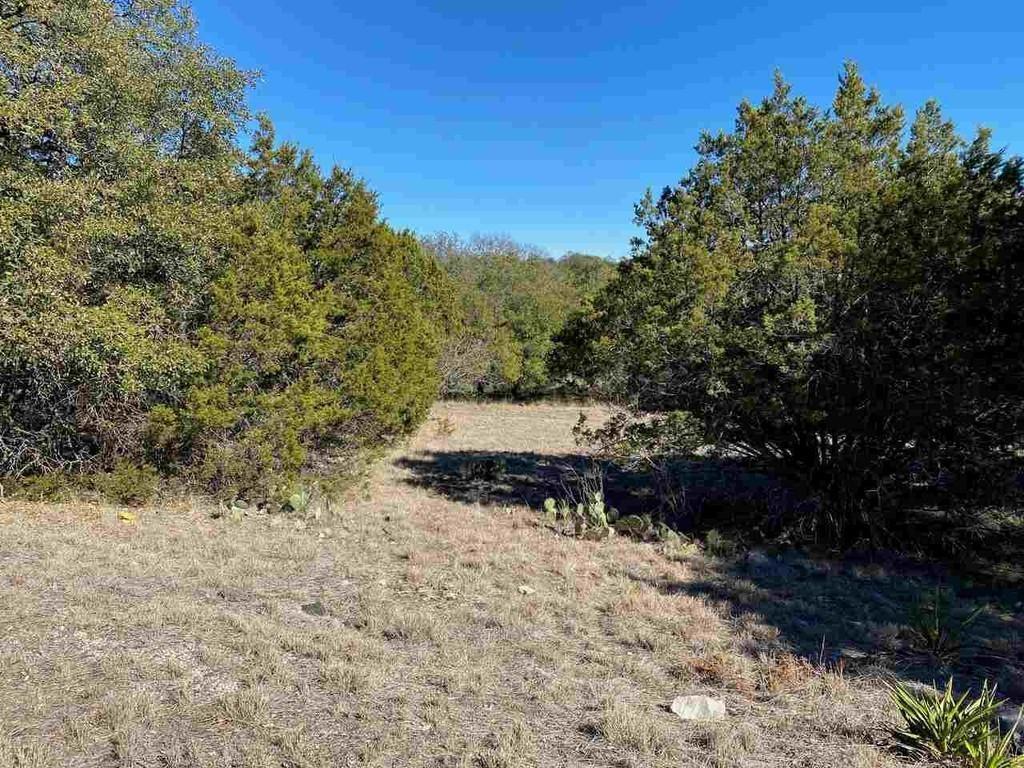 K13105 Buntline Special