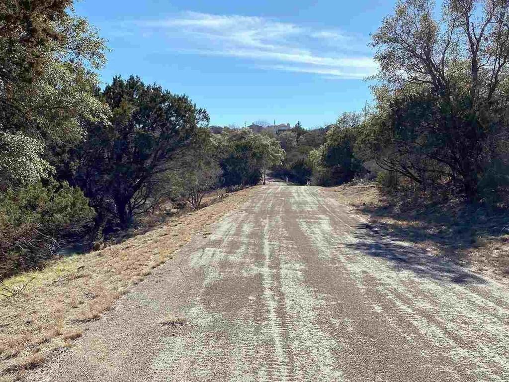 K13105 Buntline Special