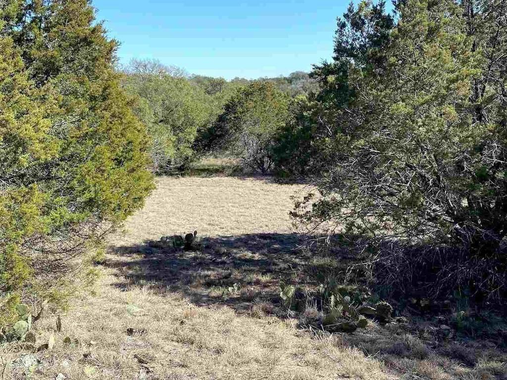 K13105 Buntline Special