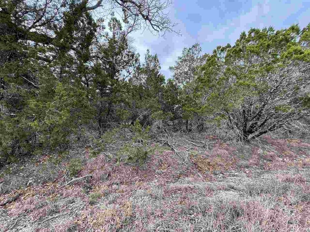 HB Lot K10033 Mountain Dew