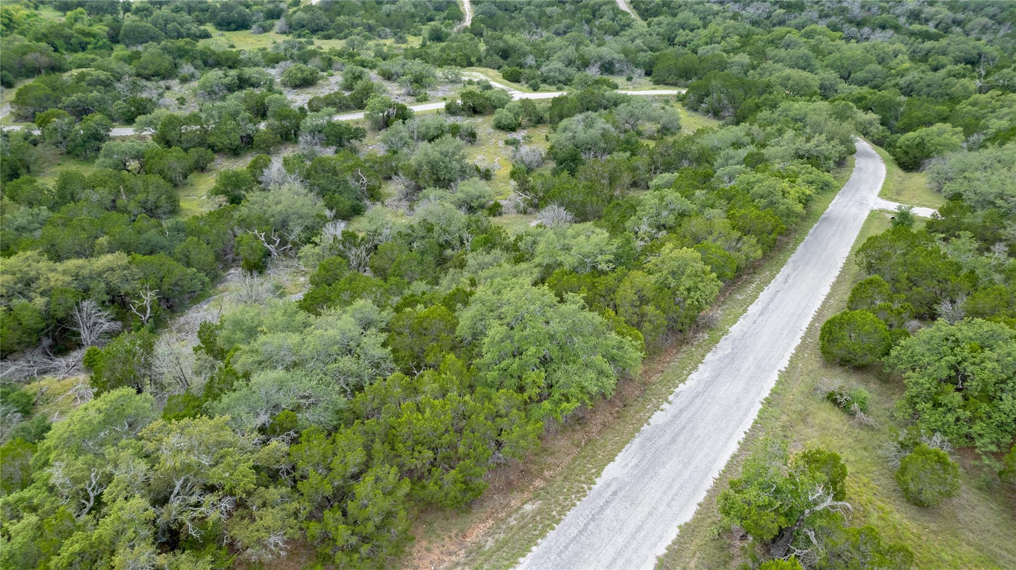 HB Lot K10033 Mountain Dew