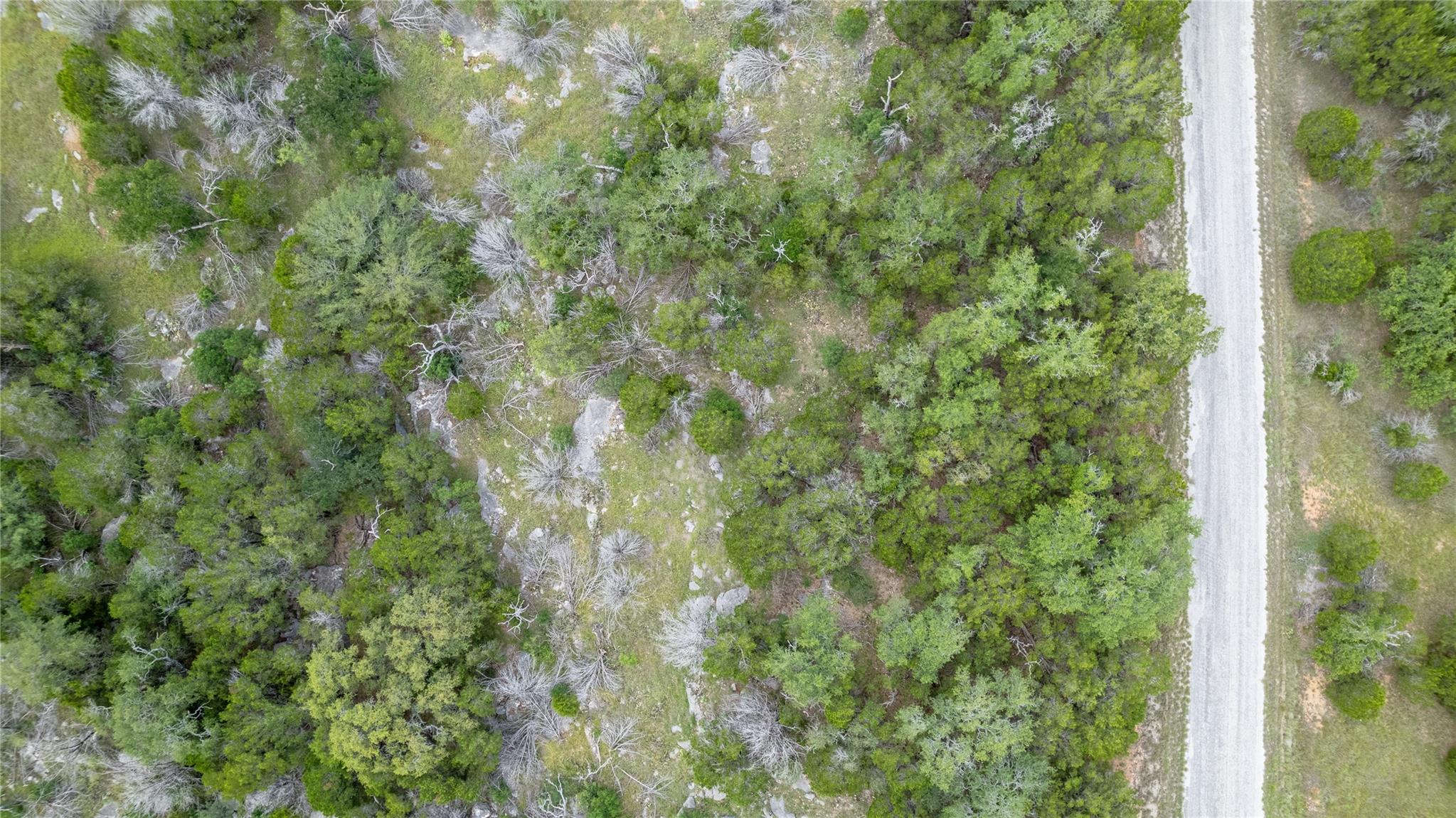 HB Lot K10033 Mountain Dew