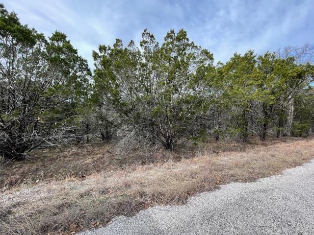 HB Lot K10033 Mountain Dew