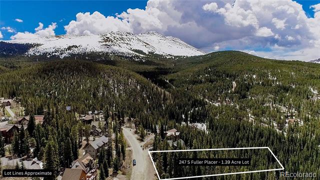 247 S Fuller Placer Road