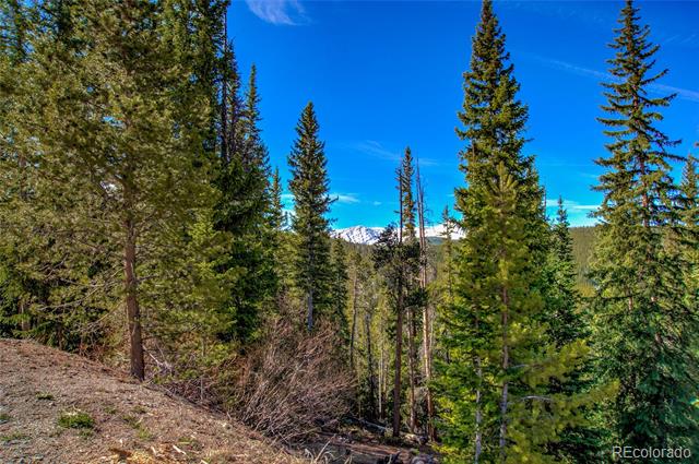 247 S Fuller Placer Road