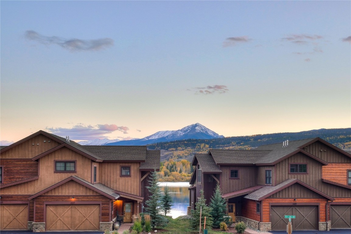 14 Damselfly LOOP 47A