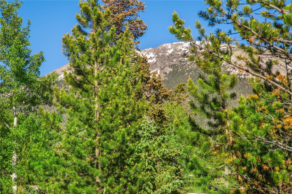 8500 Ryan Gulch ROAD 207