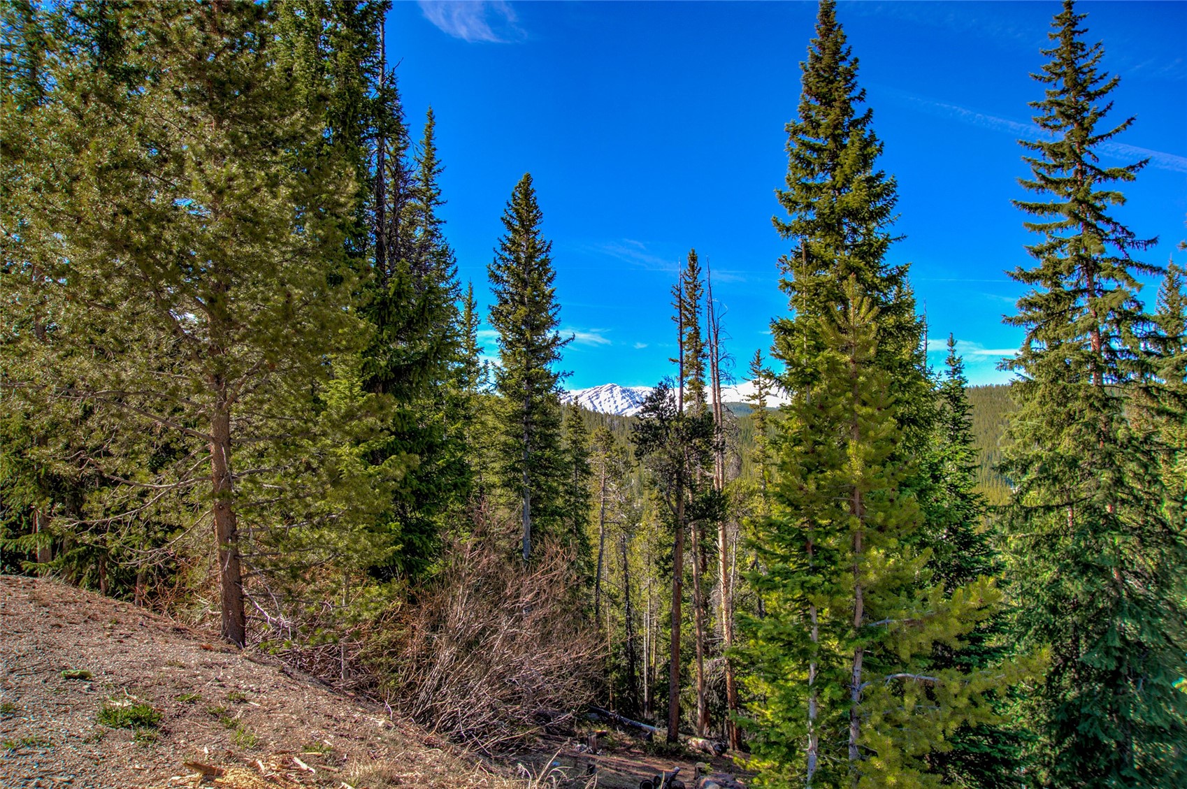 247 S Fuller Placer ROAD