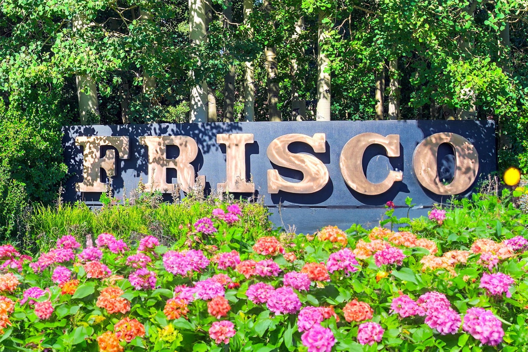 20 E Main STREET 204